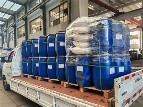 20250821749323.jpg 640 (7).jpg