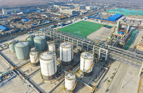 20260130808020.png 640.png